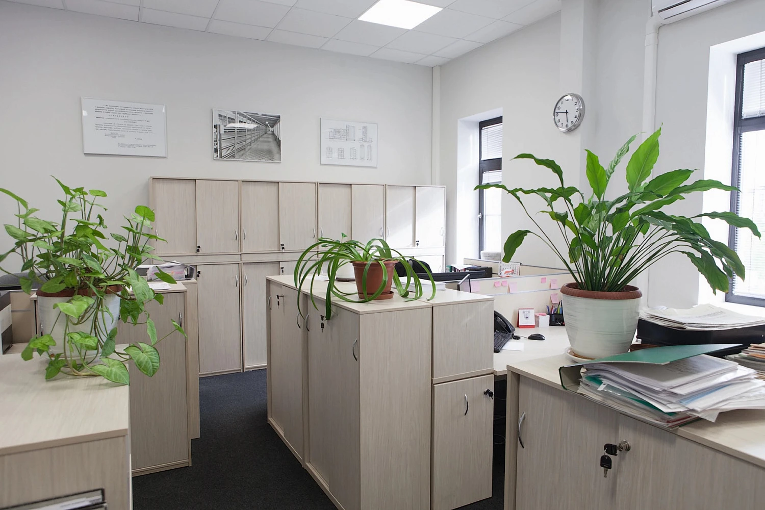 Реконструкция офисно-складского здания в бизнес-парке «ЭЛМА ГРУПП»