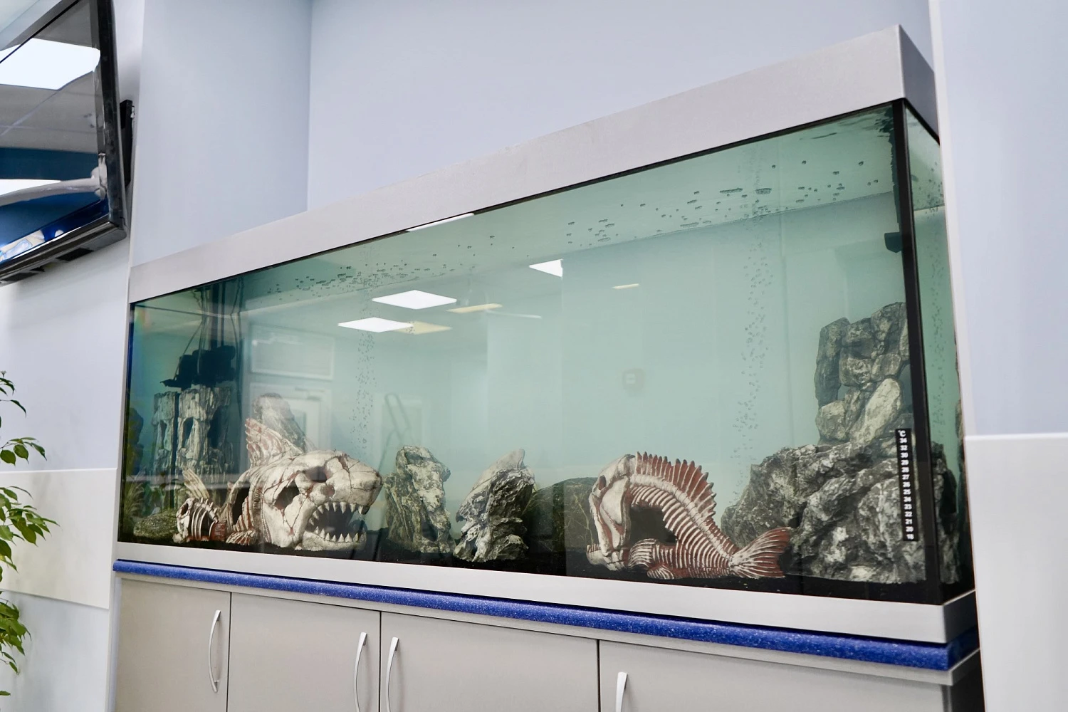 Стоматологическая клиника «СИЛИКОН»